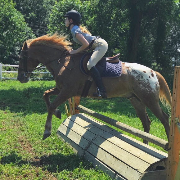 Meet your Posher, Bella - Picture 2 of 2